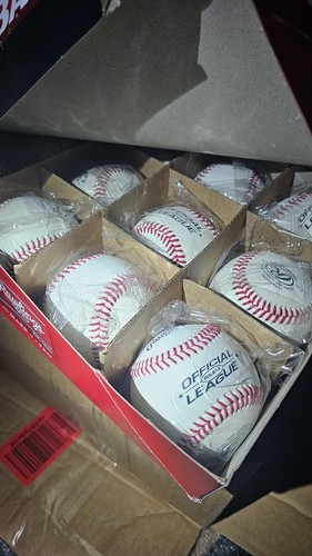 Rawlings official league - |,